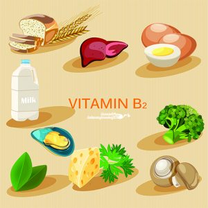 Die Bedeutung der Vitamin-B-Gruppe in der pränatalen Ernährung