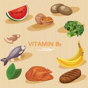 Die Bedeutung der Vitamin-B-Gruppe in der pränatalen Ernährung