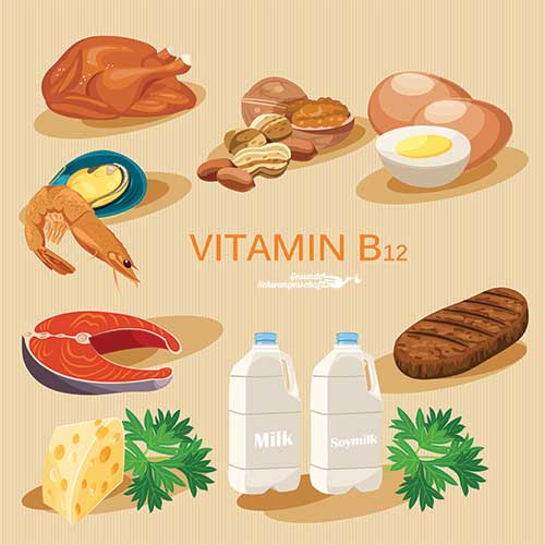 Pränatale Ernährung Die Bedeutung der VitaminBGruppe Gesunde