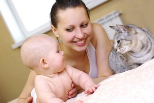 Eine Familie gründen; Wie man ein Haustier an ein neugeborenes Baby gewöhnt. 1