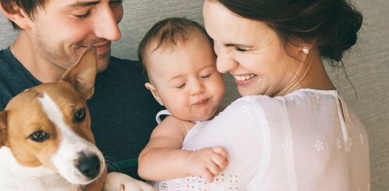 Wie Sie Ihr Haustier an ein neues Baby gewöhnen