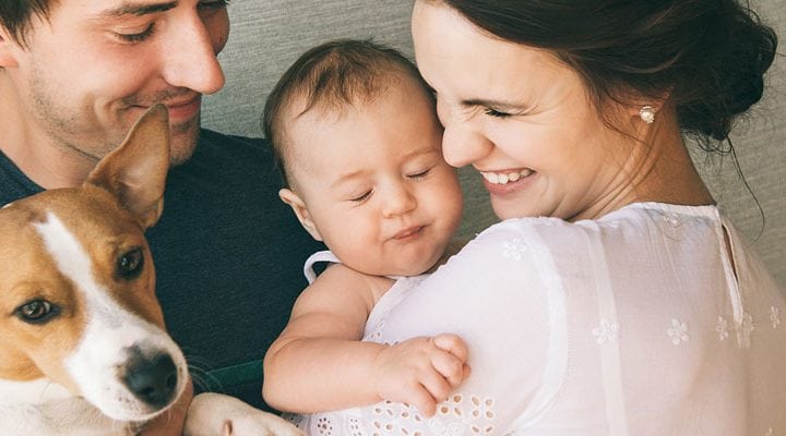 Wie Sie Ihr Haustier an ein neues Baby gewöhnen