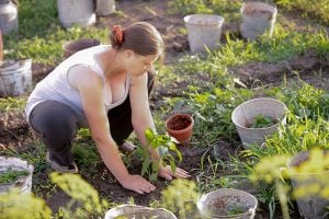 3 Heimwerkerprojekte, die Sie während der Schwangerschaft lassen sollten