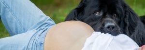 Haustiere und Schwangerschaft: Was Sie beachten sollten