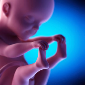 Fetale Psychologie: Was Ihr Baby der Wissenschaft nach tut 1