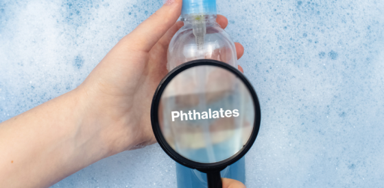 Phthalate und das Risiko für eine mögliche Frühgeburt