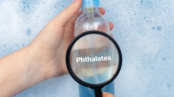 Phthalate und das Risiko für eine mögliche Frühgeburt