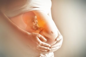 Kann eine fettreiche Kost in der Schwangerschaft die Anfälligkeit für neurologische Störungen bei männlichen Nachkommen erhöhen?