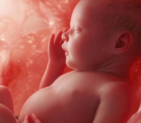 Babys reagieren im Mutterleib auf Geschmack und Gerüche