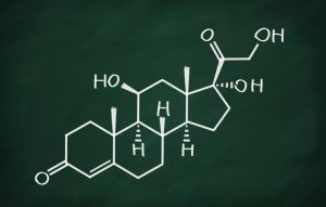 Das Alter, die ethnische Zugehörigkeit und das Gewicht der Mutter beeinflussen die Hormonkonzentrationen während der Schwangerschaft 1