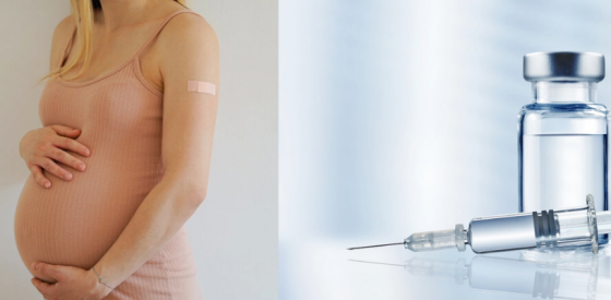 Schwangere Frauen, die gegen RSV geimpft sind, bieten ihren Babys einen wirksamen Schutz und senken die Zahl der Krankenhauseinweisungen