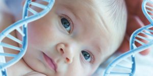 Ungeborene Babys nutzen das „gierige“ Gen vom Vater, um ihre Mütter „fernzusteuern“ und sich zusätzliche Nahrung zu verschaffen 1