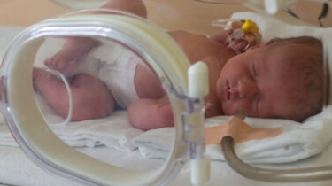 Gentherapie behebt Hauptursache für Totgeburten und Frühgeburten im Meerschweinchenmodell