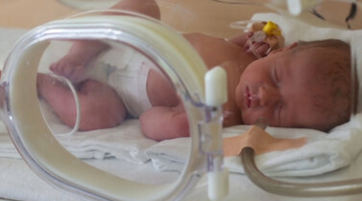 Gentherapie behebt Hauptursache für Totgeburten und Frühgeburten im Meerschweinchenmodell