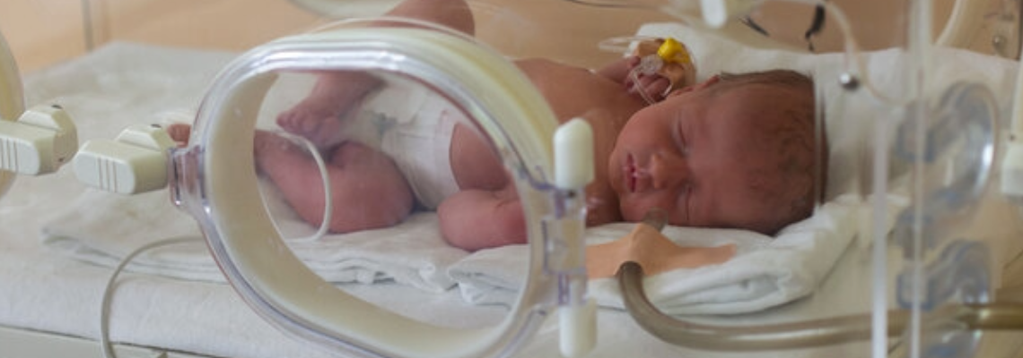 Gentherapie behebt Hauptursache für Totgeburten und Frühgeburten im Meerschweinchenmodell