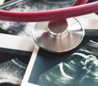 Wissenschaftler identifizieren einen grundlegenden genetischen Schalter, der den Beginn einer Schwangerschaft ermöglicht