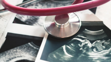 Wissenschaftler identifizieren einen grundlegenden genetischen Schalter, der den Beginn einer Schwangerschaft ermöglicht