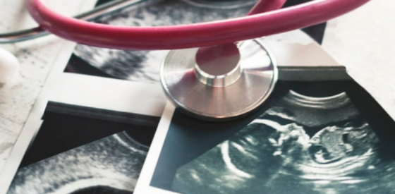 Wissenschaftler identifizieren einen grundlegenden genetischen Schalter, der den Beginn einer Schwangerschaft ermöglicht