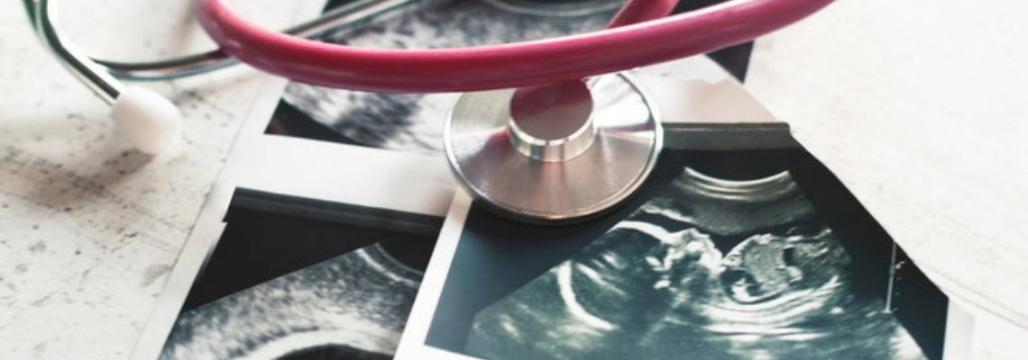 Wissenschaftler identifizieren einen grundlegenden genetischen Schalter, der den Beginn einer Schwangerschaft ermöglicht