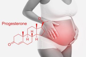 Wissenschaftler entdecken, wie die Gebärmutter weiß, wann sie während der Geburt pressen muss 2