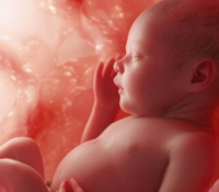 Babys sind vor der Geburt weitaus mehr „ewigen Chemikalien“ ausgesetzt, als Wissenschaftler bisher wussten