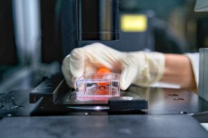 MIT-Studie zeigt: Kinder reagieren empfindlicher auf krebserregende Chemikalien im Wasser 2