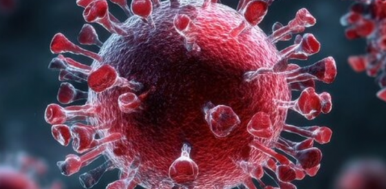SARS-CoV-2 und frühe Embryonalentwicklung: Neue Erkenntnisse aus der Forschung