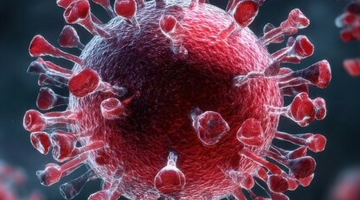 SARS-CoV-2 und frühe Embryonalentwicklung: Neue Erkenntnisse aus der Forschung