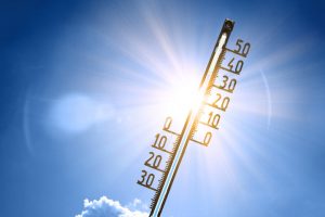 Höhere Temperaturen in der Schwangerschaft könnten das Wachstum des Fötus beeinflussen 3