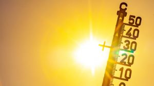 Sommer mit Baby und Kleinkind: So meistern Sie die Hitze 1
