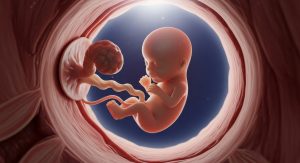 10 erstaunliche Dinge, die Babys schon im Mutterleib können – und ab wann sie diese Fähigkeiten entwickeln 2