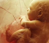 Die erstaunliche Kommunikation zwischen Mutter und Baby 4