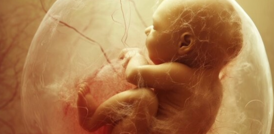 Die erstaunliche Kommunikation zwischen Mutter und Baby 4
