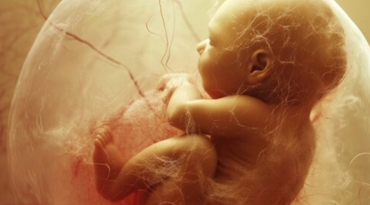 Die erstaunliche Kommunikation zwischen Mutter und Baby 4