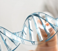 Wie das Alter der Mutter die nächste Generation beeinflussen kann – ohne die DNA zu verändern