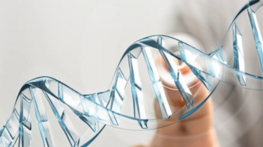 Wie das Alter der Mutter die nächste Generation beeinflussen kann – ohne die DNA zu verändern