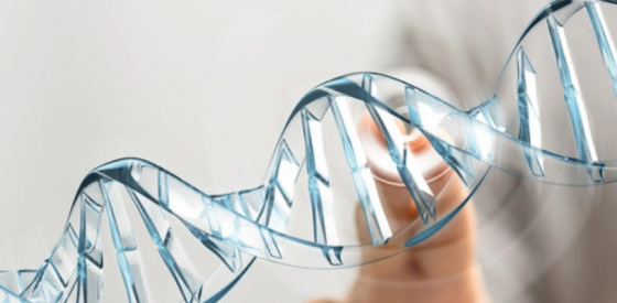 Wie das Alter der Mutter die nächste Generation beeinflussen kann – ohne die DNA zu verändern