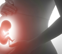Vorgeburtliche Therapie: Fachübergreifender Erfolg bei der Tumorbehandlung im Mutterleib