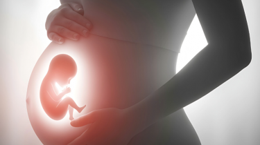 Vorgeburtliche Therapie: Fachübergreifender Erfolg bei der Tumorbehandlung im Mutterleib