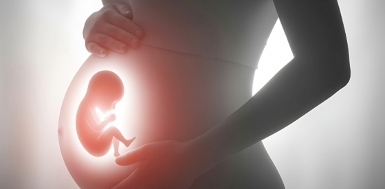 Vorgeburtliche Therapie: Fachübergreifender Erfolg bei der Tumorbehandlung im Mutterleib