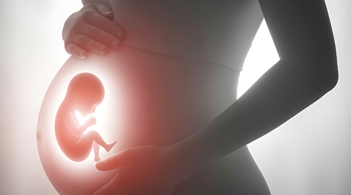 Vorgeburtliche Therapie: Fachübergreifender Erfolg bei der Tumorbehandlung im Mutterleib