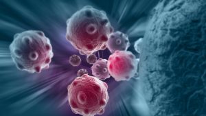 Vorgeburtliche Therapie: Fachübergreifender Erfolg bei Tumorbehandlung im Mutterleib 1
