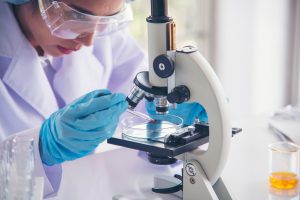 Was im Embryo schiefläuft: Forscher finden neuen Hinweis auf die Entstehung von Herzfehlern 4