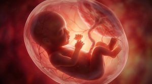 Das Baby hinterlässt Spuren im Körper der Mutter: Was fetaler Mikrochimärismus bedeutet 1