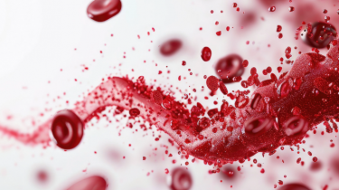 Können Blutproteine in der Schwangerschaft Hinweise auf spätere Gesundheitsrisiken geben?